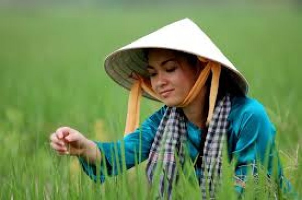 A glance at Vietnamese clothing